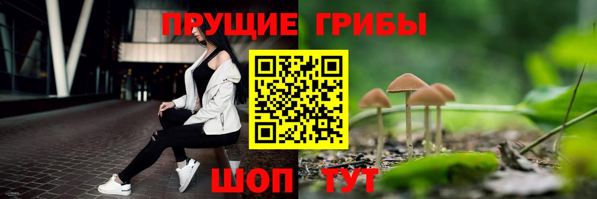 Псилоцибиновые грибы прущие грибы  Вход с VPN  Домодедово  Галлюциногенные грибы Psilocybe 
